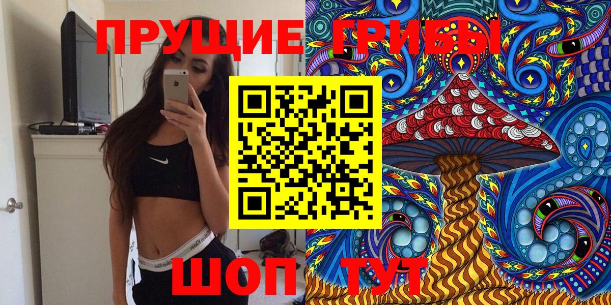 Каменка  Галлюциногенные грибы Psilocybine cubensis  Вход с VPN 